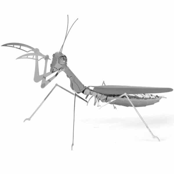 MANTIS RELIGIOSA